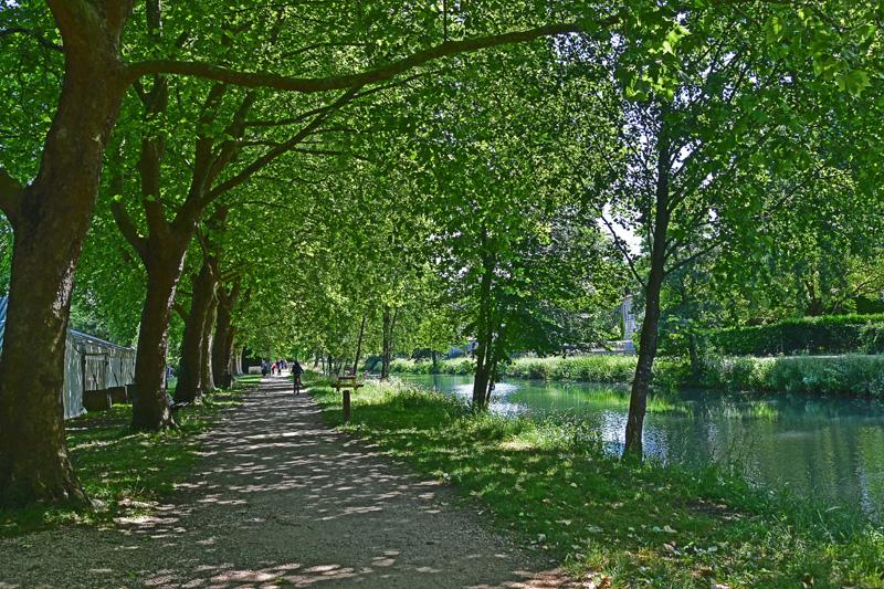 min 2025 06 08 Marais Poitevin 175
